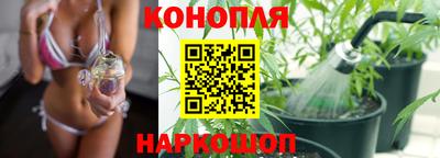шишки Балашиха