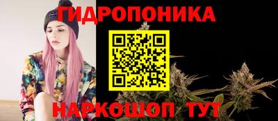прущие крисы Балаково