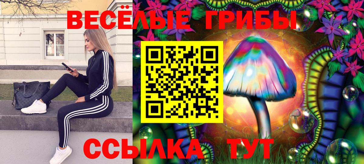 хочу наркоту  Псилоцибиновые грибы GOLDEN TEACHER  Вход с VPN  Домодедово 
